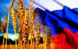 Read more about the article Russia has increased wheat supplies to China by 9 times