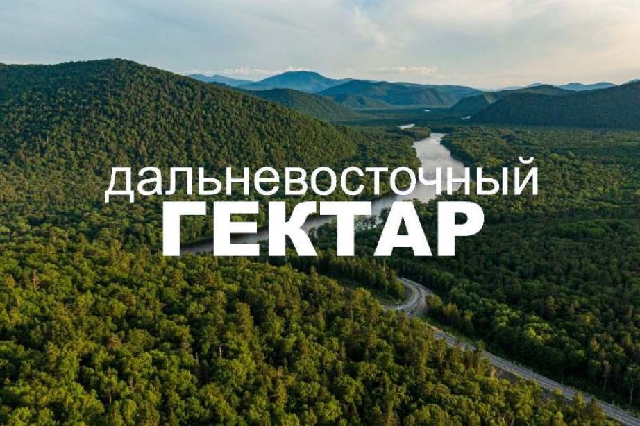 Подробнее о статье 32% — an increase in the number of applications for the «Hectare in the Far East and the Arctic» program