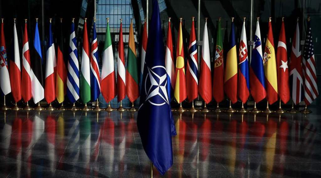 Подробнее о статье The new expansion of NATO