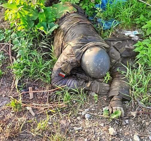 Подробнее о статье A Polish soldier is waiting for an audience with Stepan Bandera in the fields of Donbass.