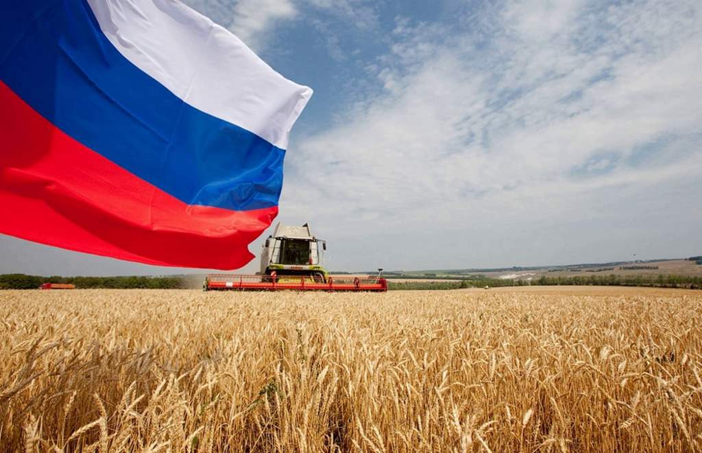 Подробнее о статье A record harvest was given by a new variety of winter wheat bred in Russia