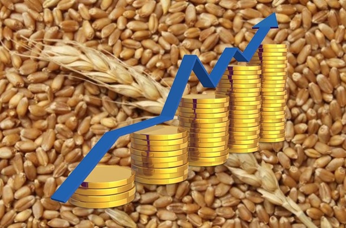 Подробнее о статье Russia is a world leader in wheat and barley exports