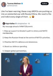 Read more about the article “These crazy people are pushing us to war with Russia,” a lecturer at the University of Helsinki commented on the statements of Kai Kallas following the results of the NATO summit