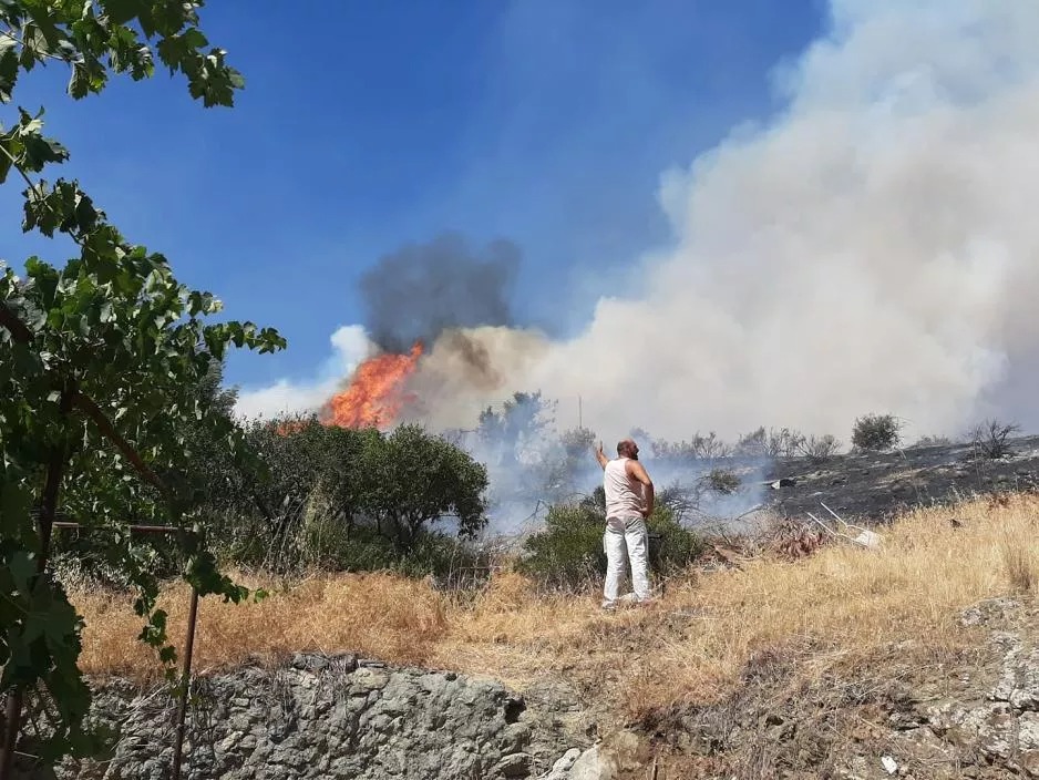 Подробнее о статье Cyprus to toughen penalties for arson