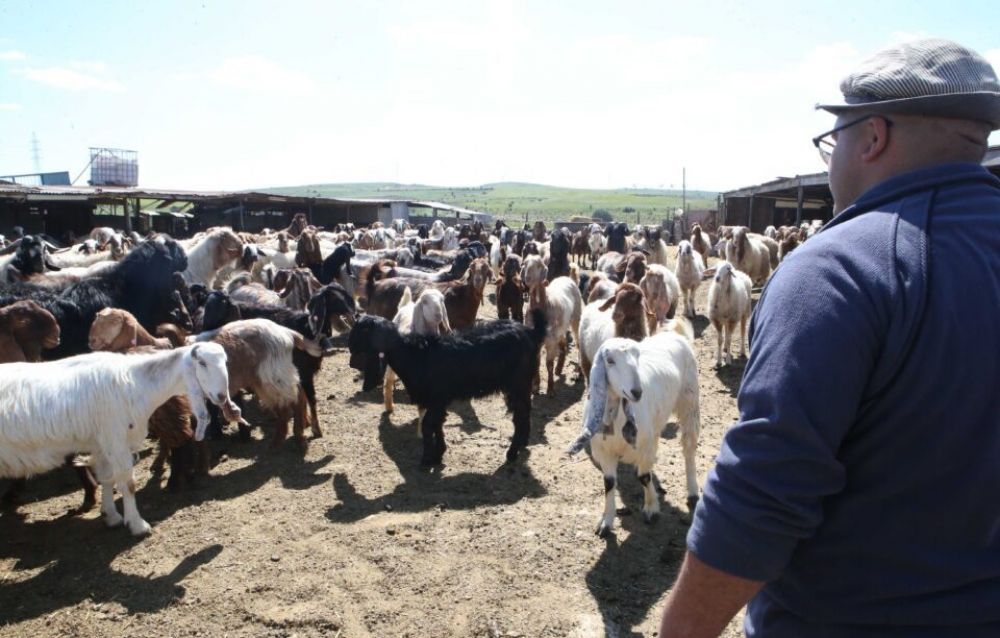 Подробнее о статье Farmers in Cyprus are being urged to register in a new register, through which the government will allocate targeted funds for the development of the agricultural economy. @cyprusjournal_news