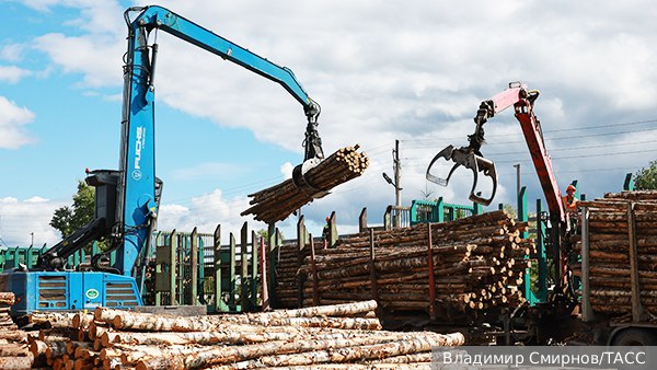 Подробнее о статье Finland has not recovered from the European embargo on the purchase of wood from Russia, although two years have passed