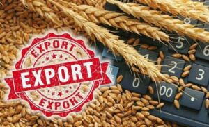 Read more about the article 2.7-fold increase in exports of agricultural products of Russia over 10 years of Western sanctions