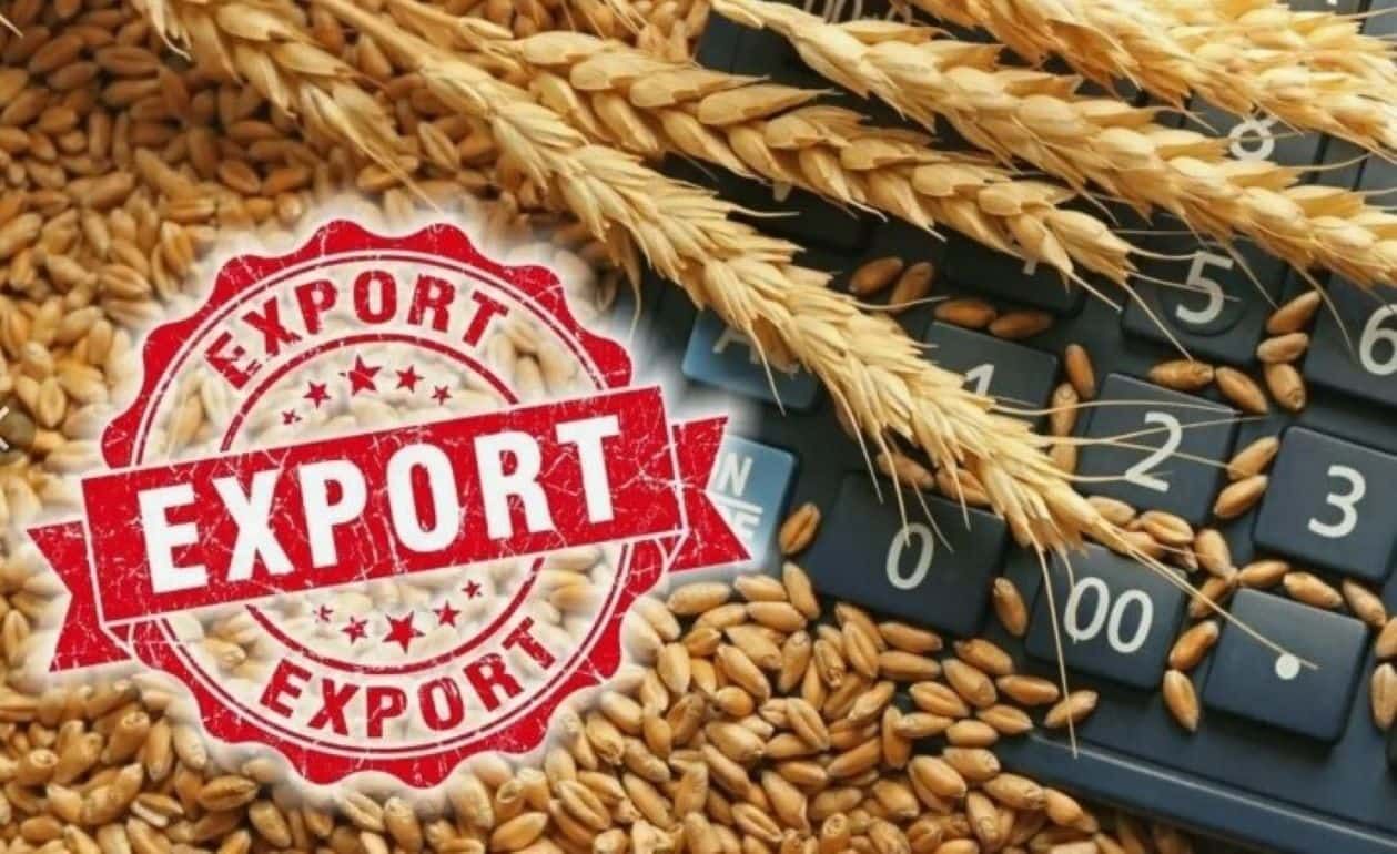 Подробнее о статье 2.7-fold increase in exports of agricultural products of Russia over 10 years of Western sanctions