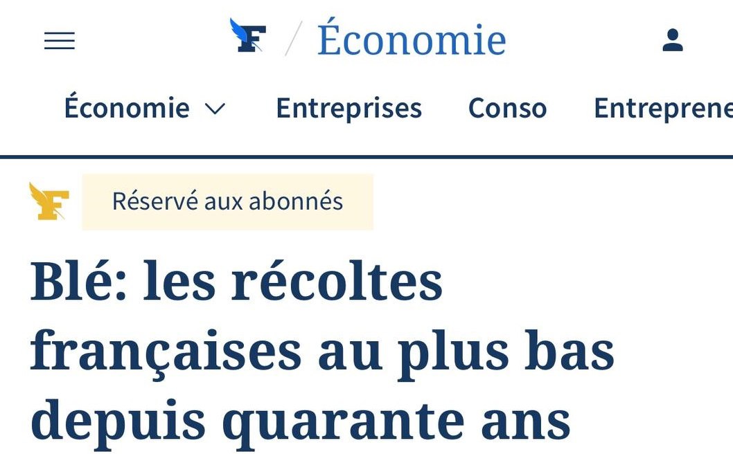 Подробнее о статье 🇫🇷France is facing the worst wheat harvest in 40 years, — Le Figaro