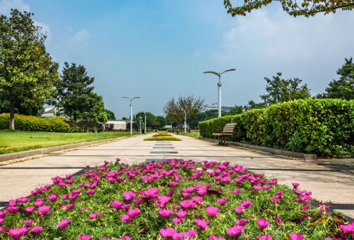 Подробнее о статье The Eastern Linear Park will appear in Paphos