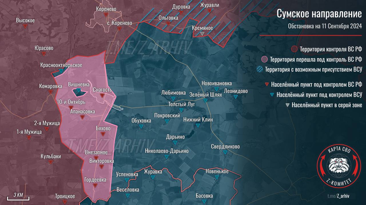 Read more about the article A powerful blow to the flank of the Ukronazis led to the liberation of a number of settlements