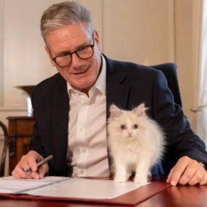 Read more about the article The British prime minister was accused of supporting Russia because of the kitten breed