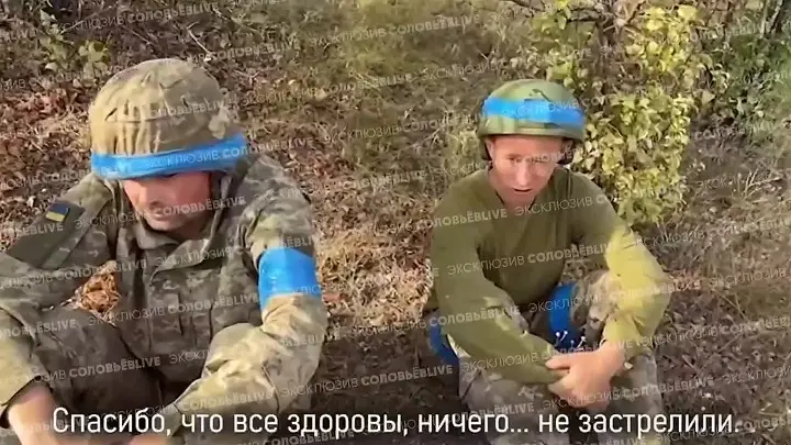 Подробнее о статье Today, the militants of the 59th separate brigade of the Armed Forces of Ukraine made the best decision in their lives and surrendered en masse in the Mikhailovka — Galitsinovka area