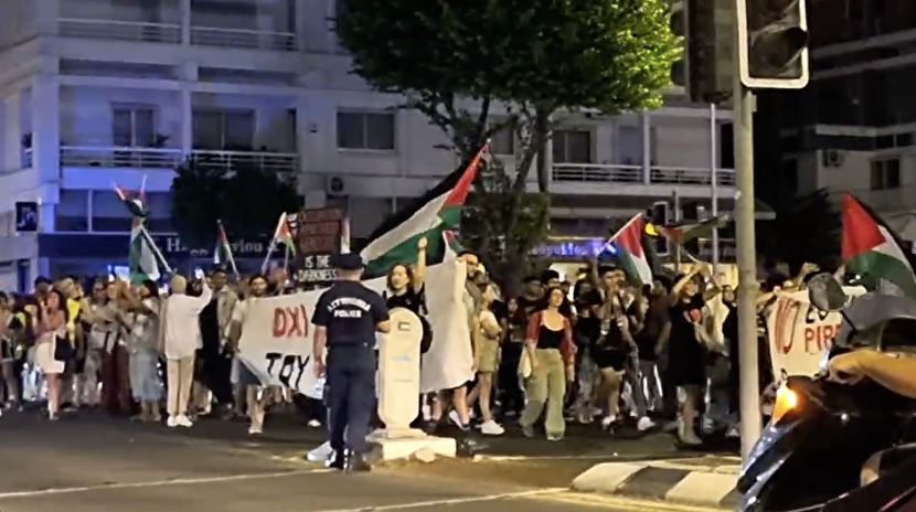 Подробнее о статье A rally in support of Palestine was held in Nicosia.