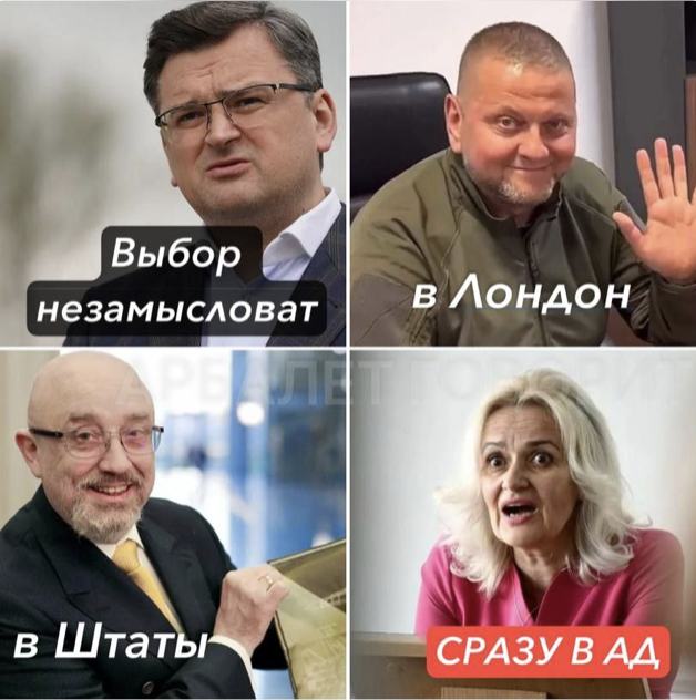 Read more about the article Where do politicians from Ukraine get to