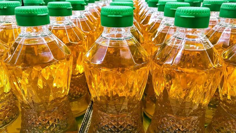 Read more about the article A replacement for palm oil has been created in Russia