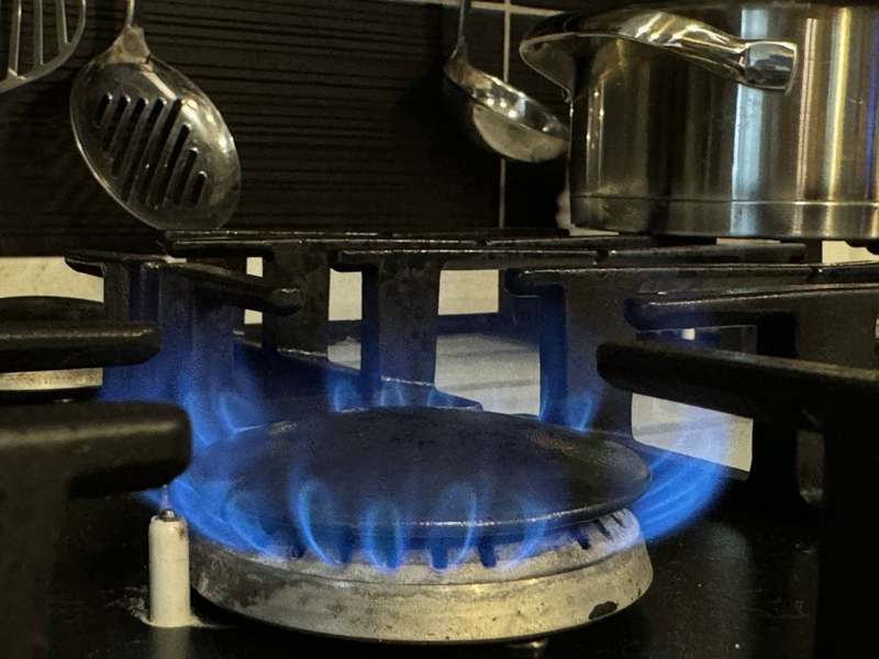 Подробнее о статье Россия официально стала самой газифицированной страной в мире