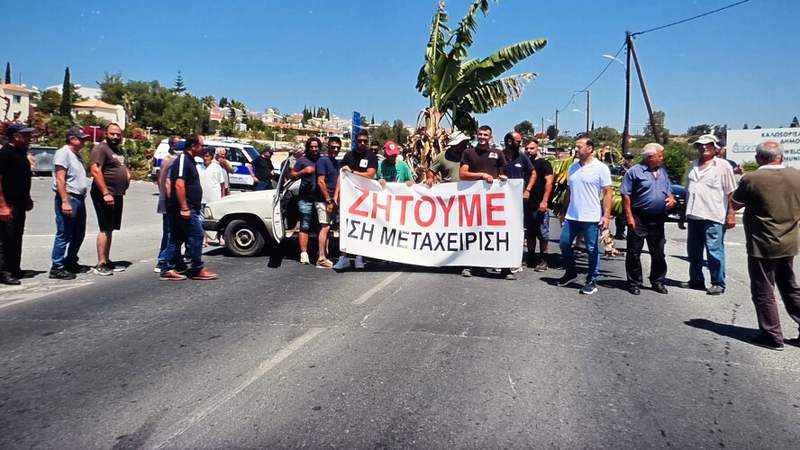 Подробнее о статье Фермеры Пафоса устроили протест из-за нехватки воды