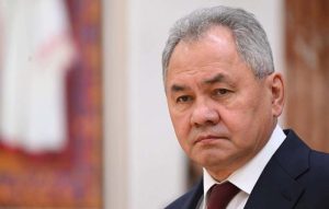 Подробнее о статье Шойгу: