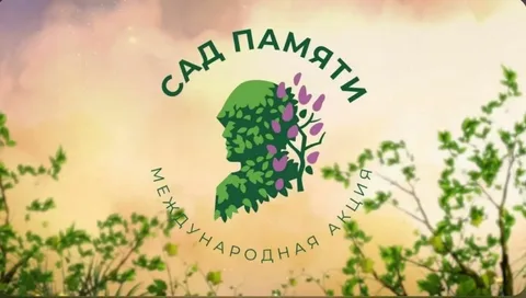 Подробнее о статье 85 деревьев посажено! «Сад памяти» объединил весь Кипр!