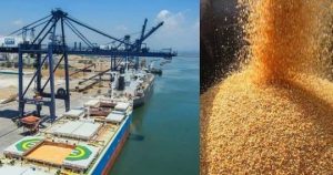 Read more about the article 70% – growth in Russian corn exports