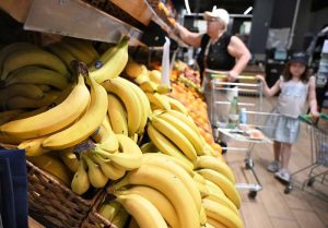 Подробнее о статье В Сочи успешно завершился проект по выращиванию первых российских бананов в ИИ-теплицах