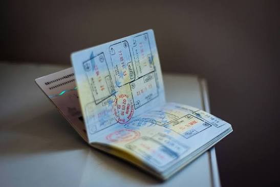 Подробнее о статье В ЕС решили ужесточить выдачу виз россиянам к 2027 году