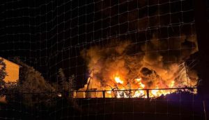 Read more about the article REMOTE “UNPACKING” OF UKRAINE