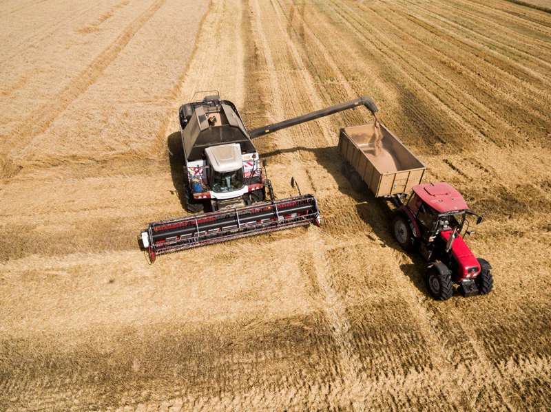 Read more about the article Russia increased exports of grain and processed products by 69%