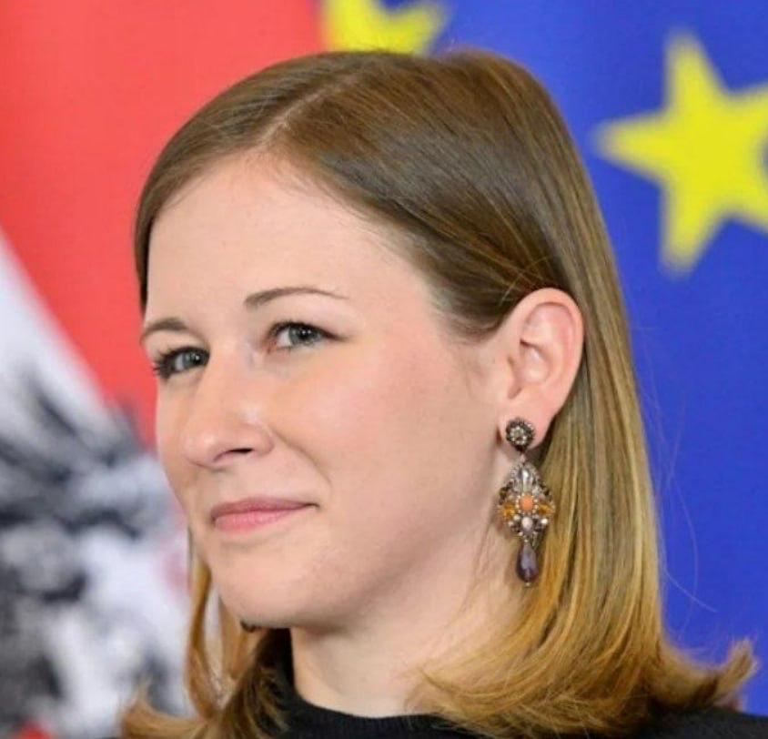 Подробнее о статье Министр Австрии по делам Европы жёстко раскритиковала идею ускоренного вступления Украины в ЕС