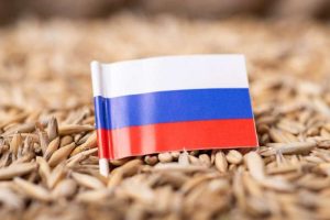 Подробнее о статье 40% — рост российского экспорта продовольствия в Африку