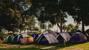 Read more about the article Almost all campsites are closed: where to get a tent and what do the authorities say?