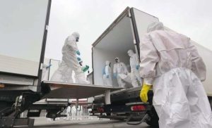 Read more about the article The process of exchanging the bodies of the dead between Russia and Ukraine has ended.