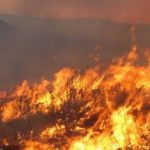 Поджоги на Кипре: следствие проверяет версию об организованной группе