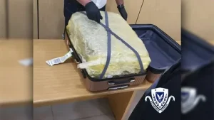 Read more about the article Since the beginning of the year, the Cyprus police have seized 323 kg of marijuana, as well as 81 kg of cocaine