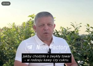 Подробнее о статье Премьер-министр Словакии Фицо критикует Европейскую комиссию за лицемерие