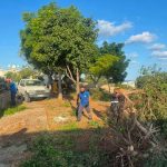 В Пафосе приводят в порядок район Мутталос: обновляют парки, детские площадки и очищают территории