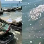 Οι Κύπριοι βουλευτές επέκριναν το τμήμα περιβάλλοντος της Λεμεσού για την άρνηση της ρύπανσης της θάλασσας