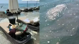 Read more about the article Cypriot MPs criticized the Limassol environmental department for denying sea pollution.