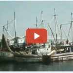 Η Ραγισμένη Καρδιά της Αφροδίτης