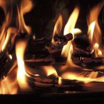 Департамент лесного хозяйства Кипра выразил серьезную обеспокоенность участившимися случаями преднамеренных поджогов в регионе Пафоса