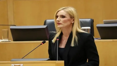 Подробнее о статье Парламент Кипра принял делегацию юристов Украины